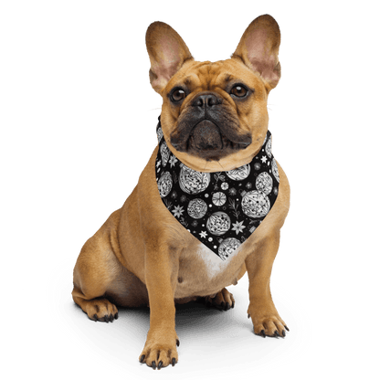 Black and White Ornament for Pets AND Humans! - DeRose Seasonal