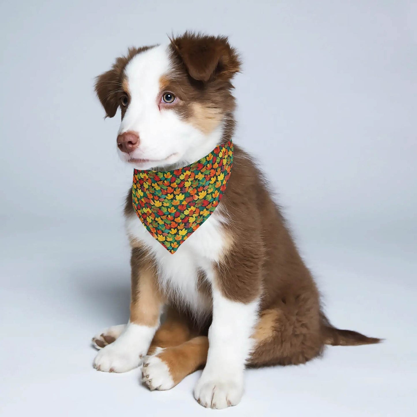 Colorful Leaves Animal Scarf Pet Adjustable Bandanas for Dogs Cats - DeRose Seasonal