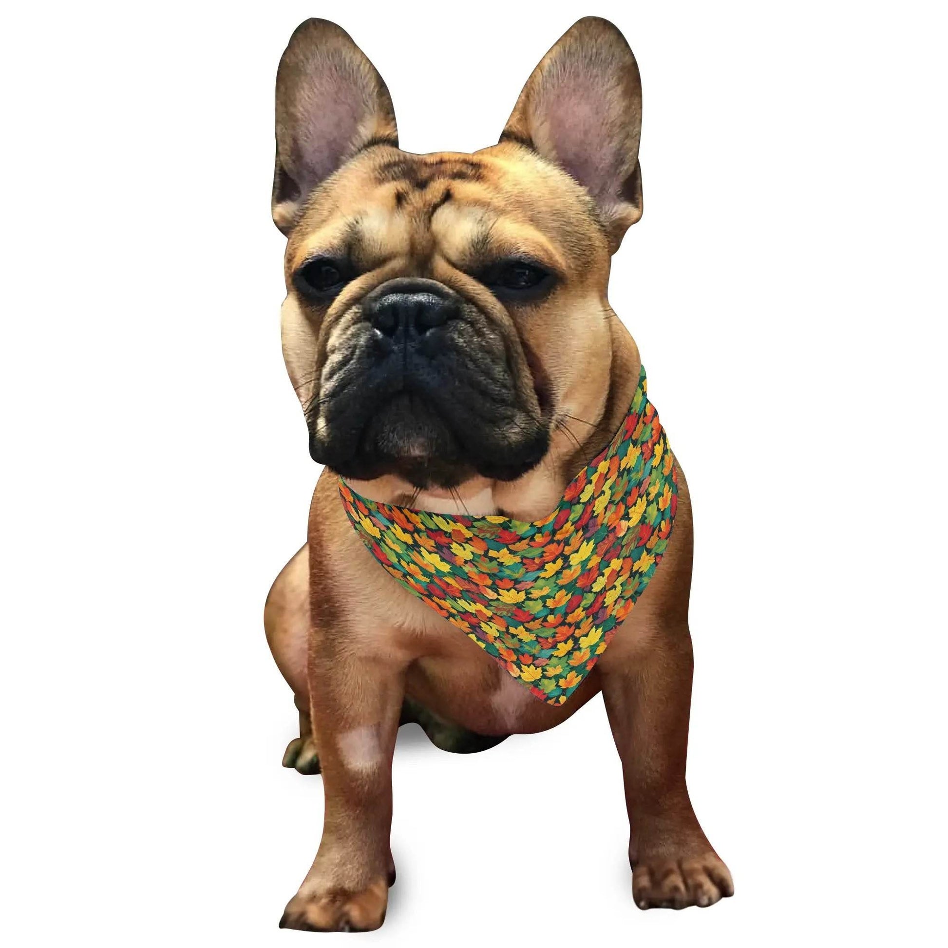 Colorful Leaves Animal Scarf Pet Adjustable Bandanas for Dogs Cats - DeRose Seasonal
