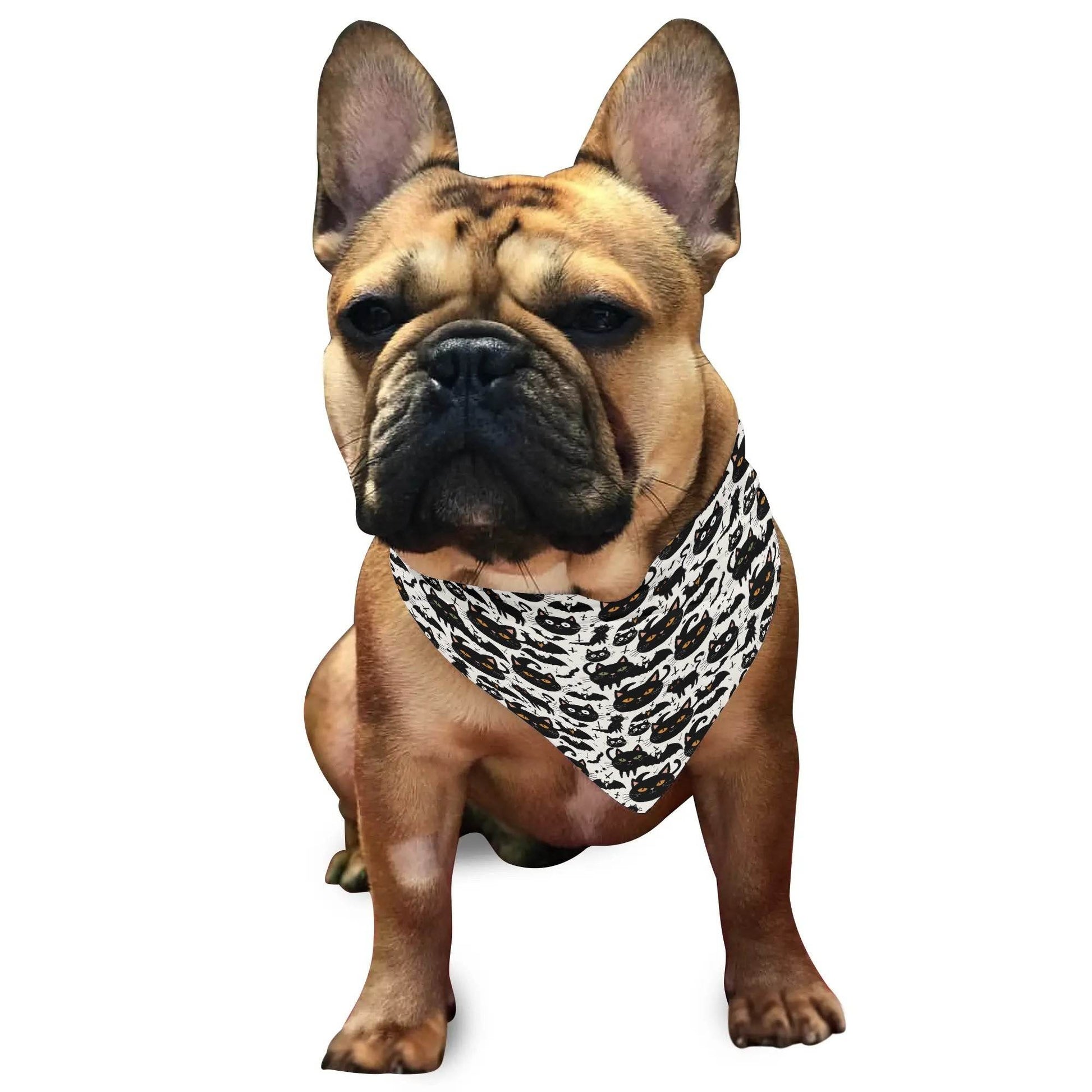 Crazy Cat Lady Animal Scarf Pet Adjustable Bandanas for Dogs Cats - DeRose Seasonal