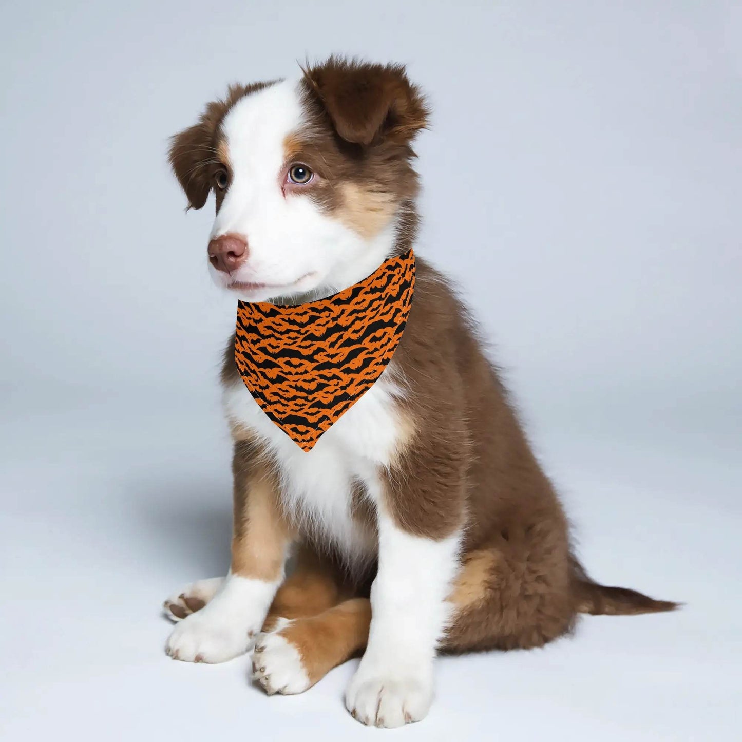 Halloween Bats Animal Scarf Pet Adjustable Bandanas for Dogs Cats - DeRose Seasonal