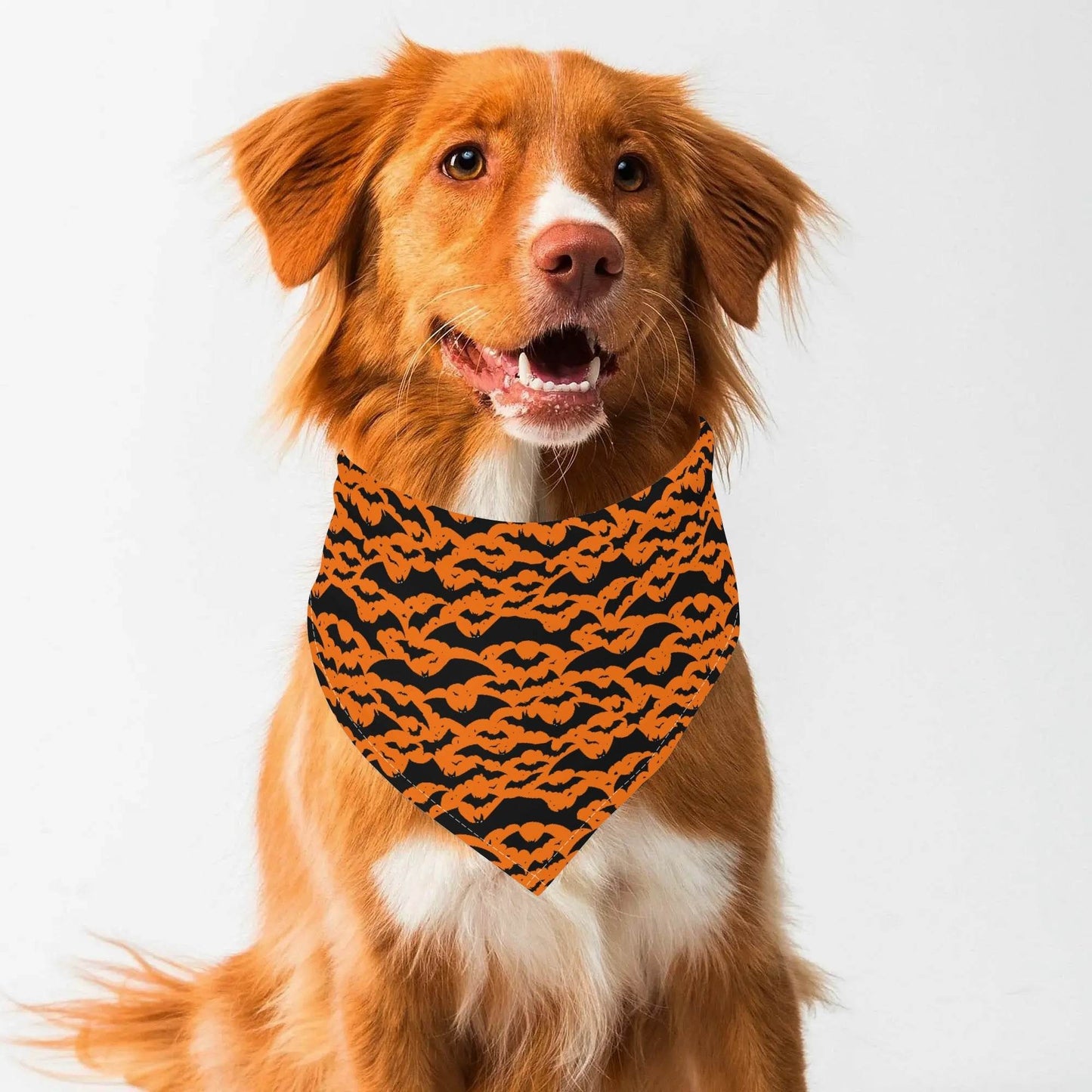 Halloween Bats Animal Scarf Pet Adjustable Bandanas for Dogs Cats - DeRose Seasonal