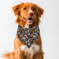 Jack-O-Lanterns Animal Scarf Pet Adjustable Bandanas for Dogs Cats - DeRose Seasonal