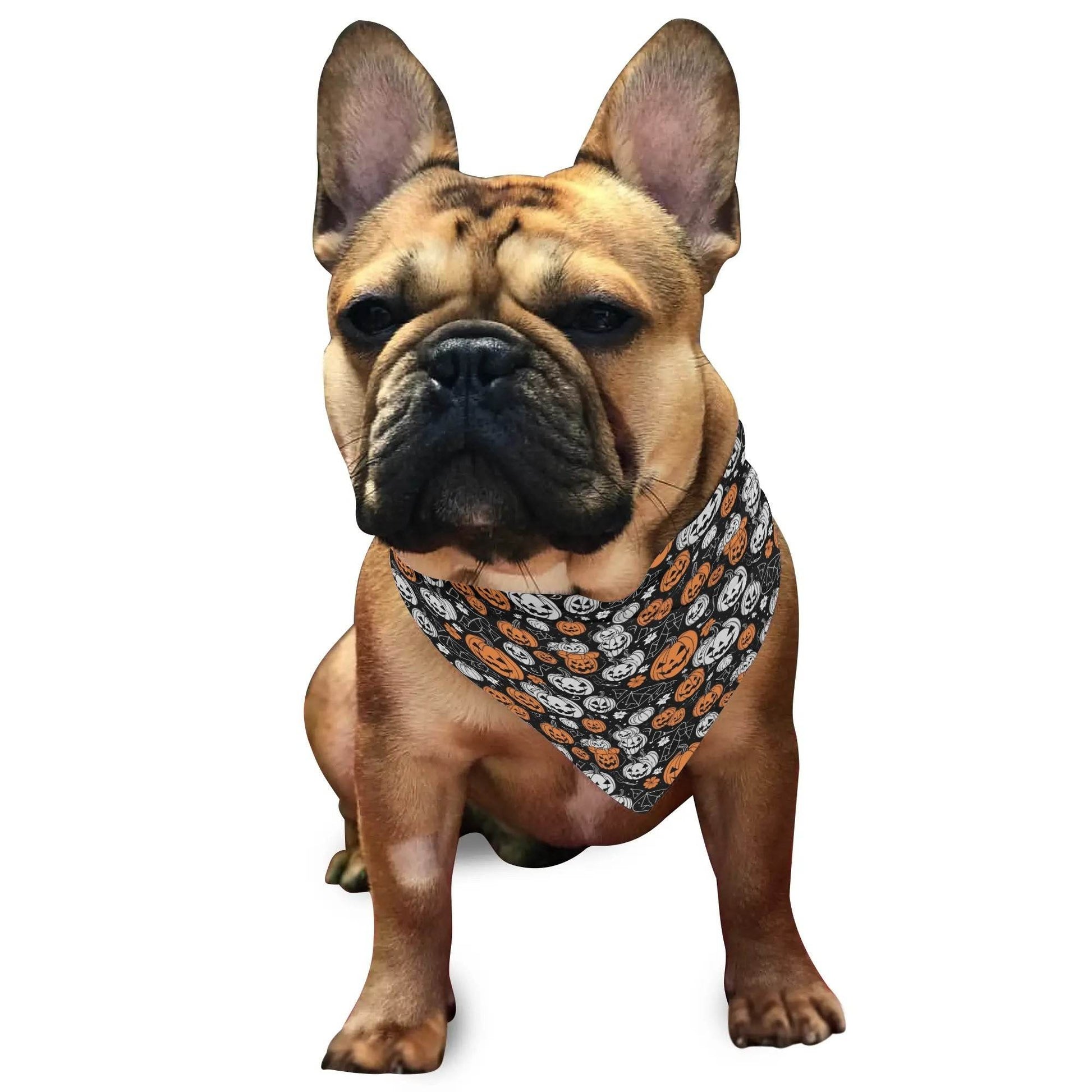 Jack-O-Lanterns Animal Scarf Pet Adjustable Bandanas for Dogs Cats - DeRose Seasonal