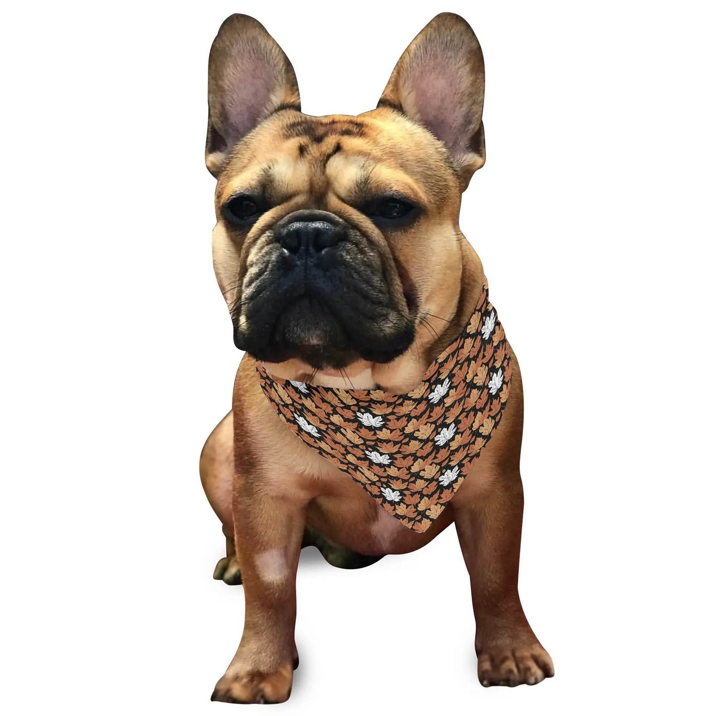 Maple Leaves Animal Scarf Pet Adjustable Bandanas for Dogs Cats - DeRose Seasonal