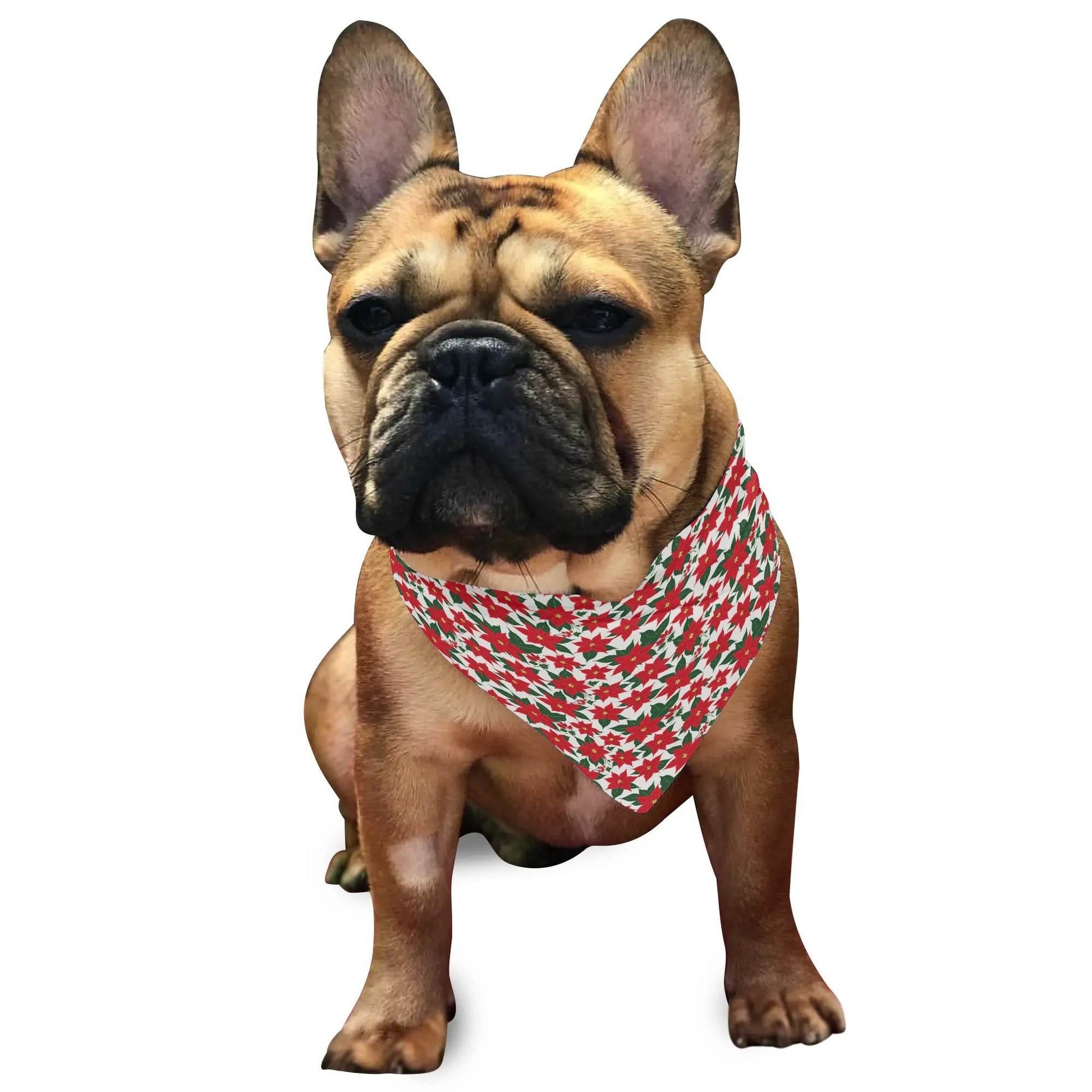Poinsettia Floral Scarf Pet Adjustable Bandanas for Dogs Cats - DeRose Seasonal