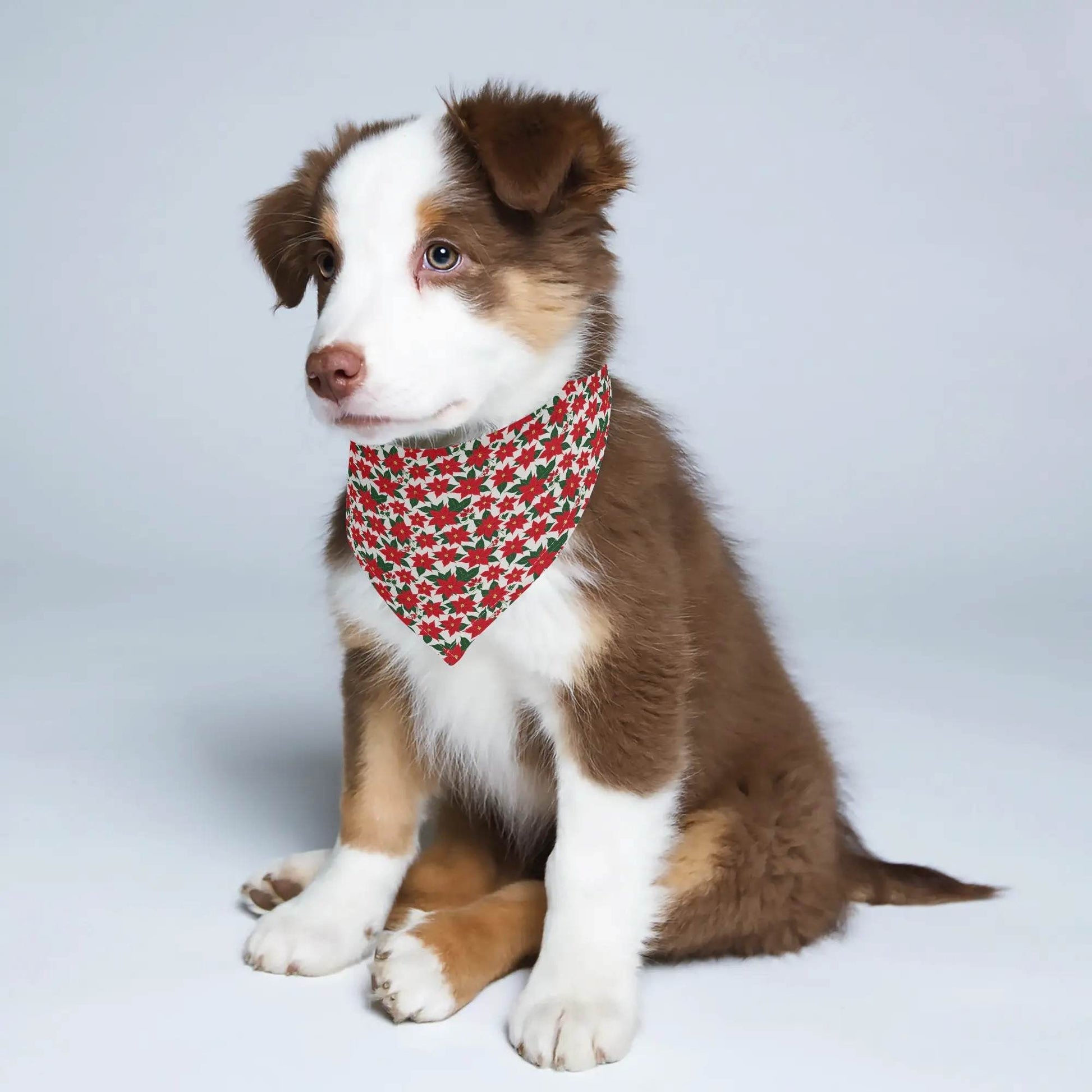 Poinsettia Floral Scarf Pet Adjustable Bandanas for Dogs Cats - DeRose Seasonal