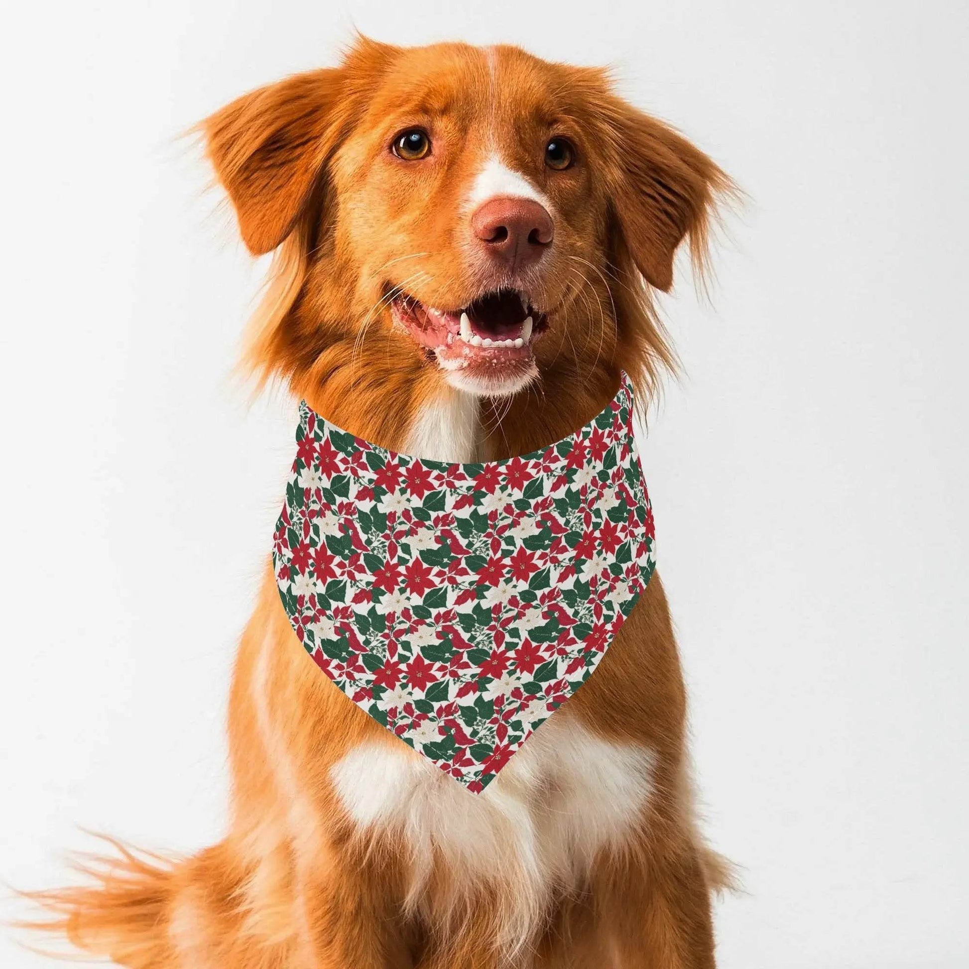 Red and White Poinsettia Flower Animal Scarf Pet Adjustable Bandanas for Dogs Cats - DeRose Seasonal